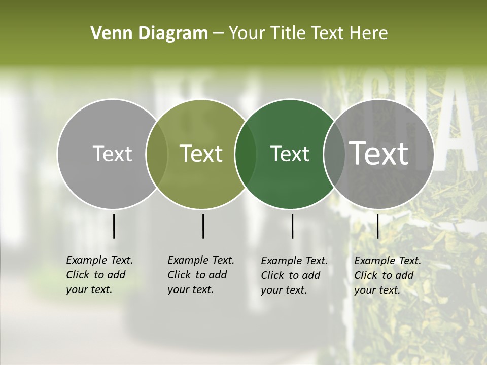 Cook Herbal Chinese PowerPoint Template