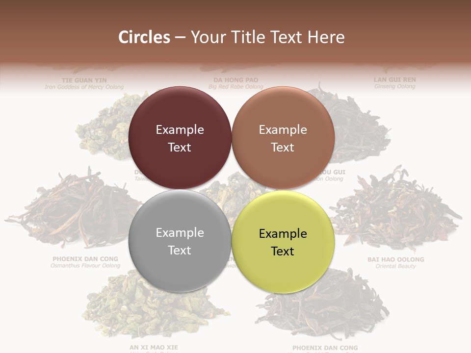 Osmanthus Wu Yi Iron Goddess Of Mercy PowerPoint Template