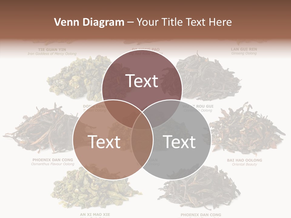 Osmanthus Wu Yi Iron Goddess Of Mercy PowerPoint Template