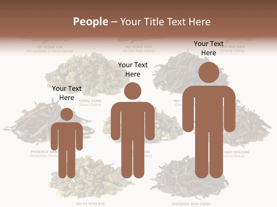 Osmanthus Wu Yi Iron Goddess Of Mercy PowerPoint Template