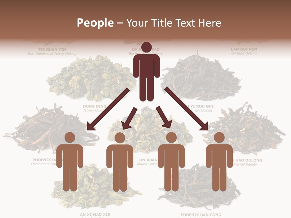 Osmanthus Wu Yi Iron Goddess Of Mercy PowerPoint Template