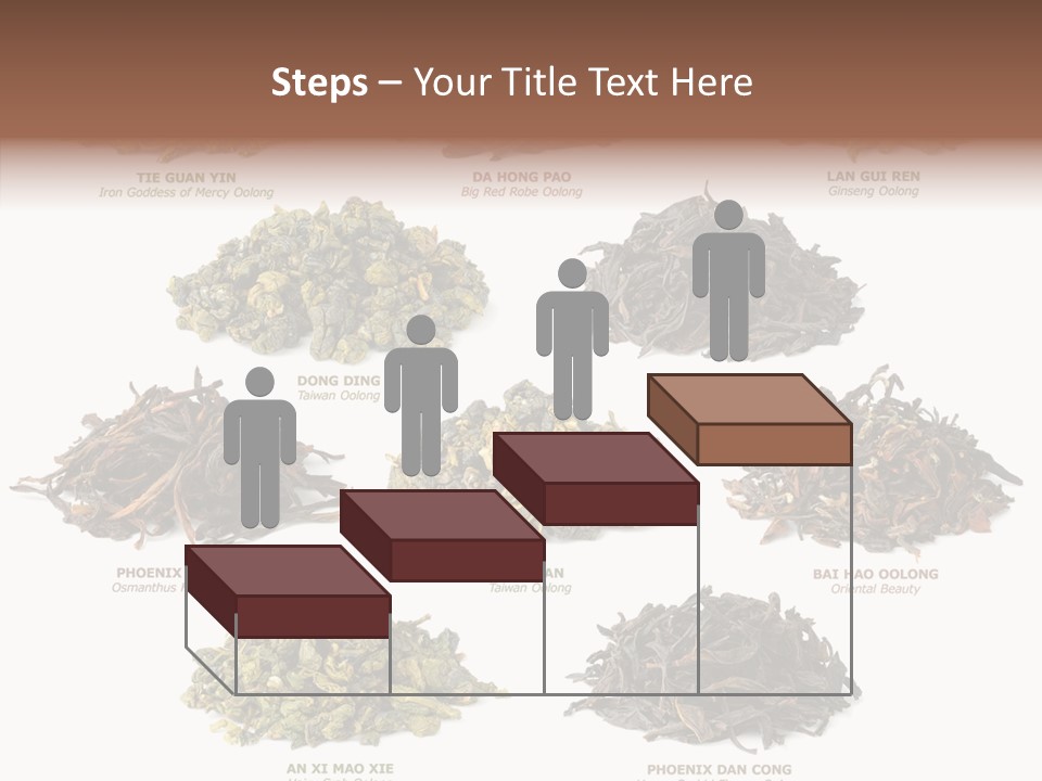 Osmanthus Wu Yi Iron Goddess Of Mercy PowerPoint Template