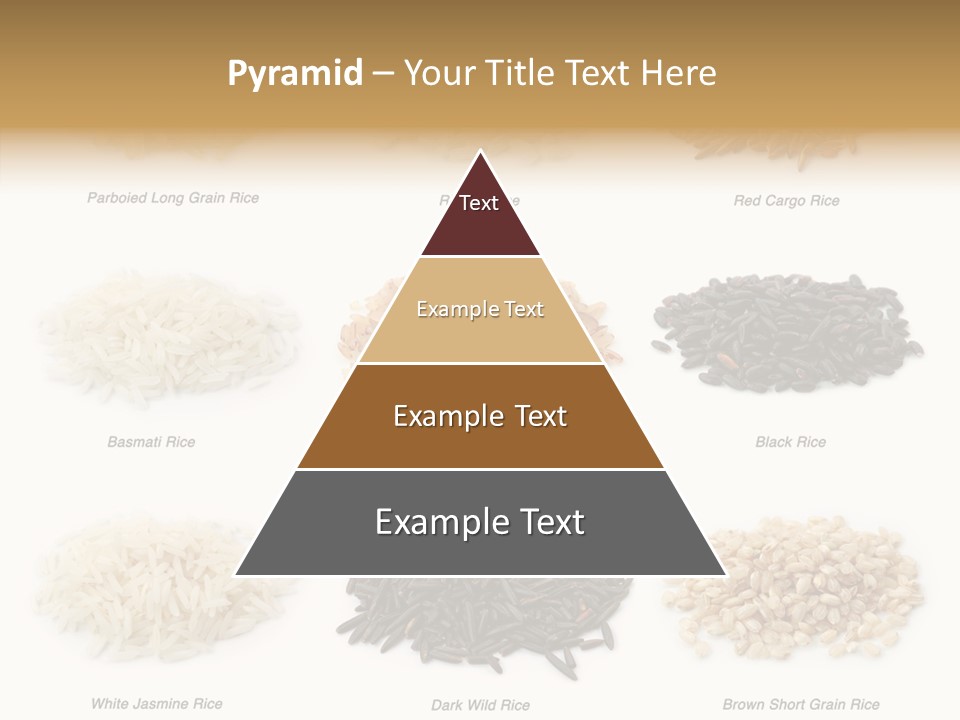Rice Asia Pile PowerPoint Template