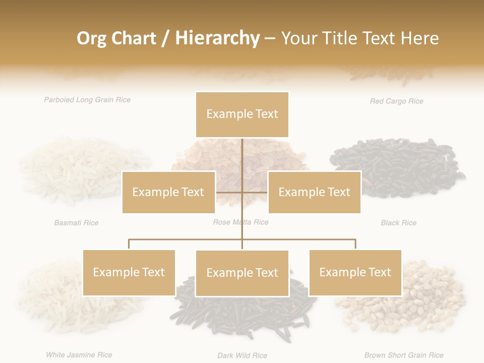 Rice Asia Pile PowerPoint Template