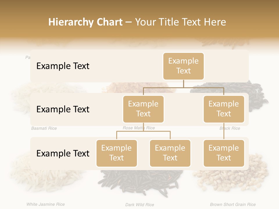 Rice Asia Pile PowerPoint Template