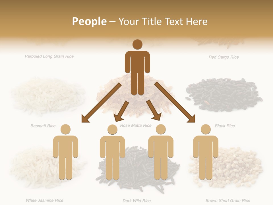 Rice Asia Pile PowerPoint Template