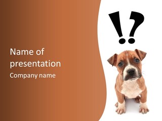 Cut Out Bull Terrier Exclamation PowerPoint Template