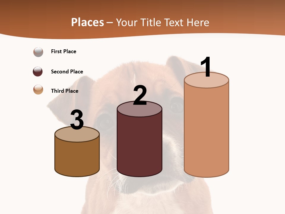 Cut Out Bull Terrier Exclamation PowerPoint Template