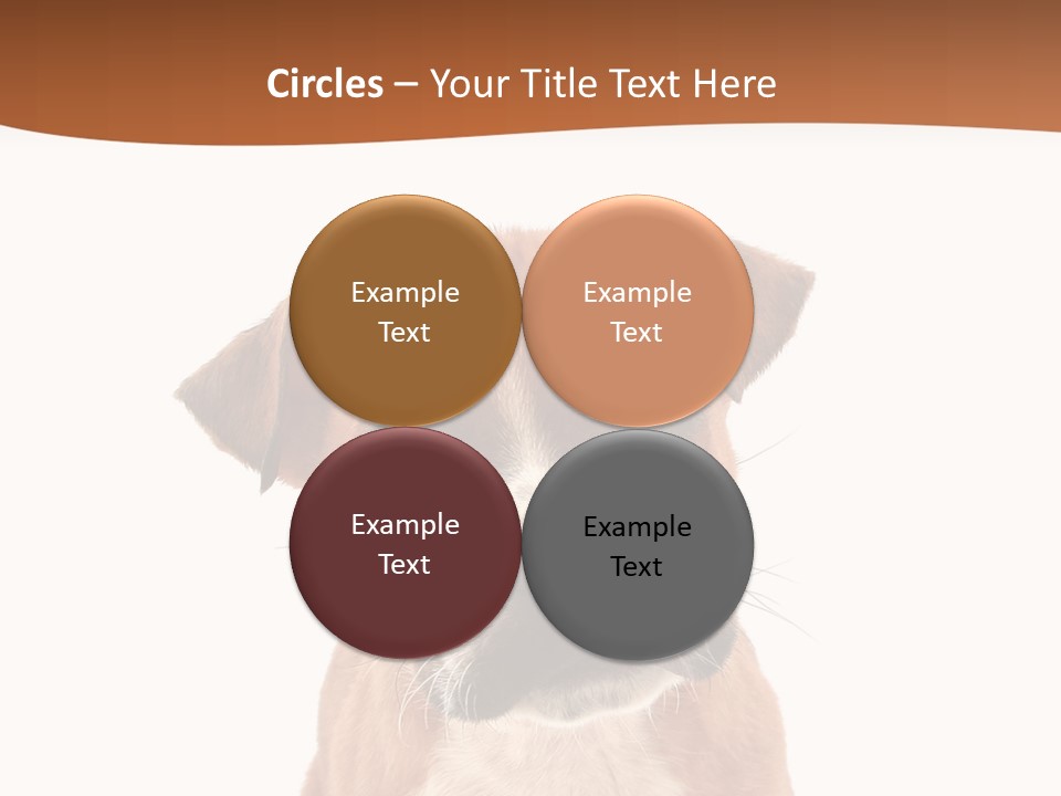 Cut Out Bull Terrier Exclamation PowerPoint Template