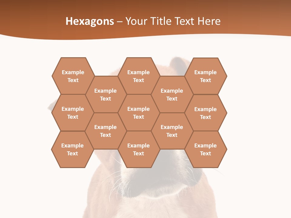 Cut Out Bull Terrier Exclamation PowerPoint Template