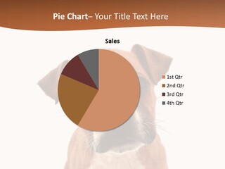 Cut Out Bull Terrier Exclamation PowerPoint Template