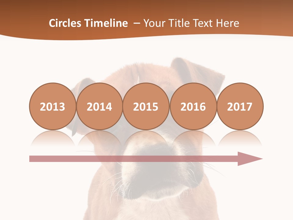 Cut Out Bull Terrier Exclamation PowerPoint Template