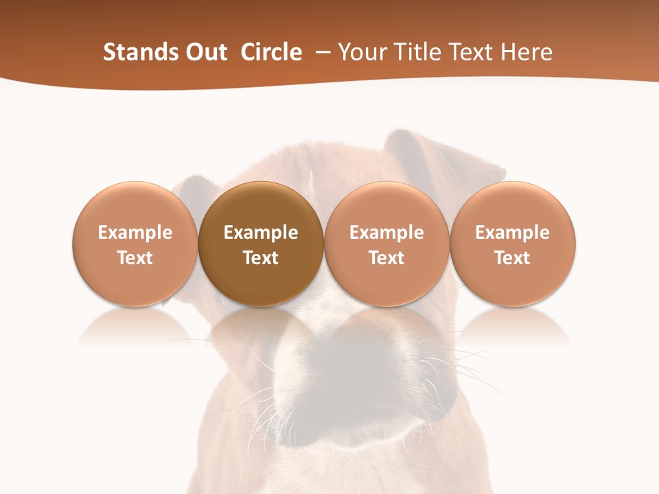 Cut Out Bull Terrier Exclamation PowerPoint Template