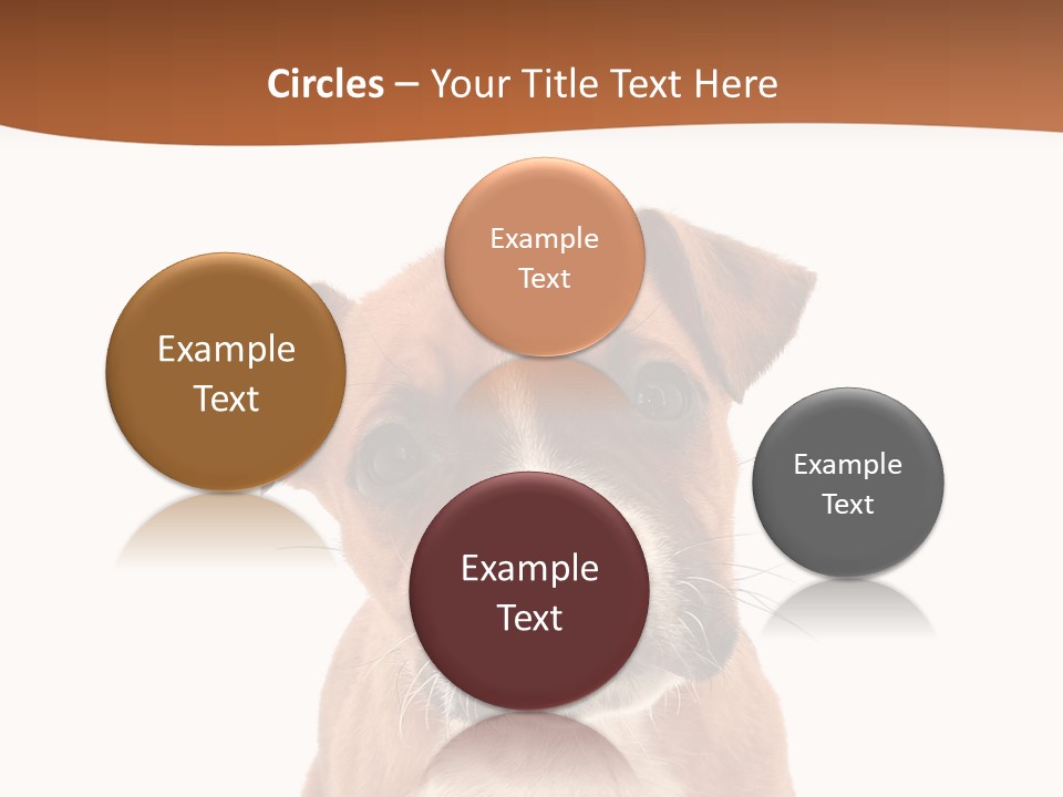 Cut Out Bull Terrier Exclamation PowerPoint Template