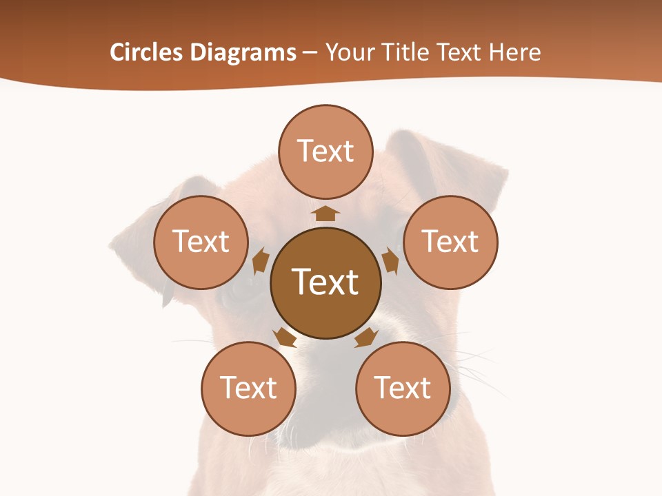 Cut Out Bull Terrier Exclamation PowerPoint Template