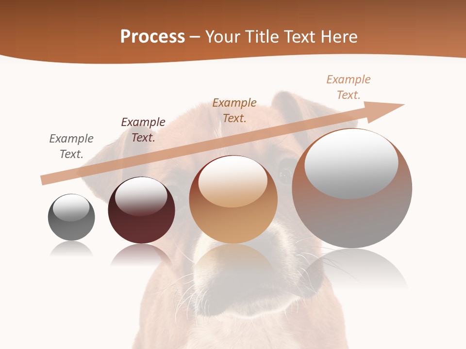 Cut Out Bull Terrier Exclamation PowerPoint Template