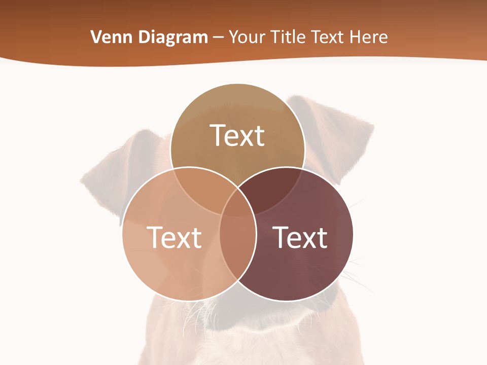 Cut Out Bull Terrier Exclamation PowerPoint Template