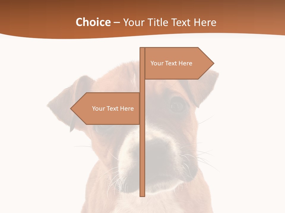 Cut Out Bull Terrier Exclamation PowerPoint Template