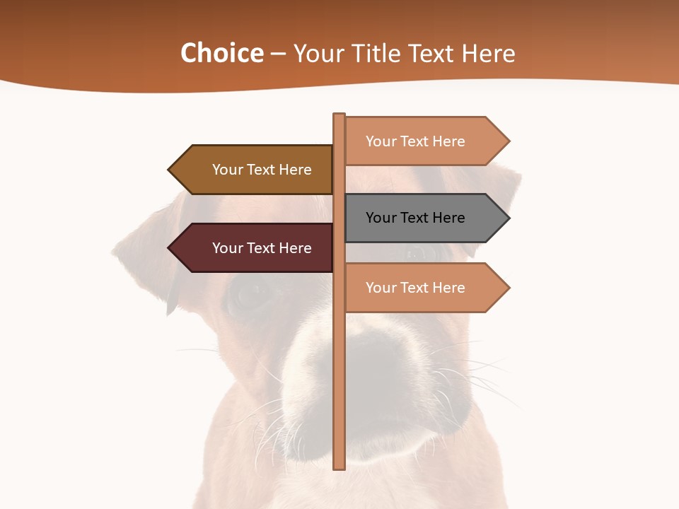 Cut Out Bull Terrier Exclamation PowerPoint Template