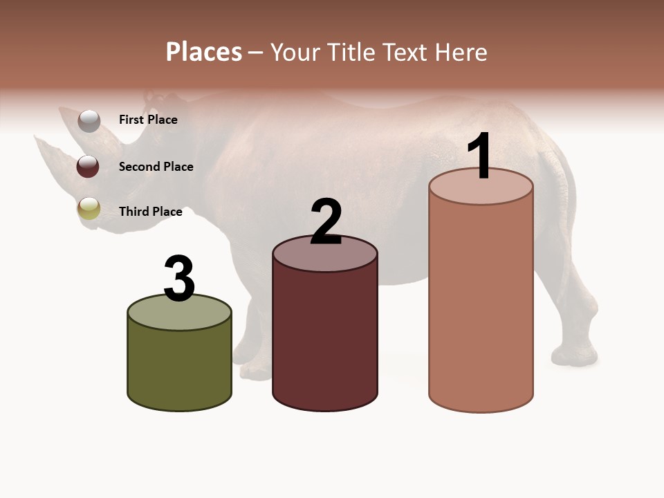 Wild Mammal Diceros PowerPoint Template