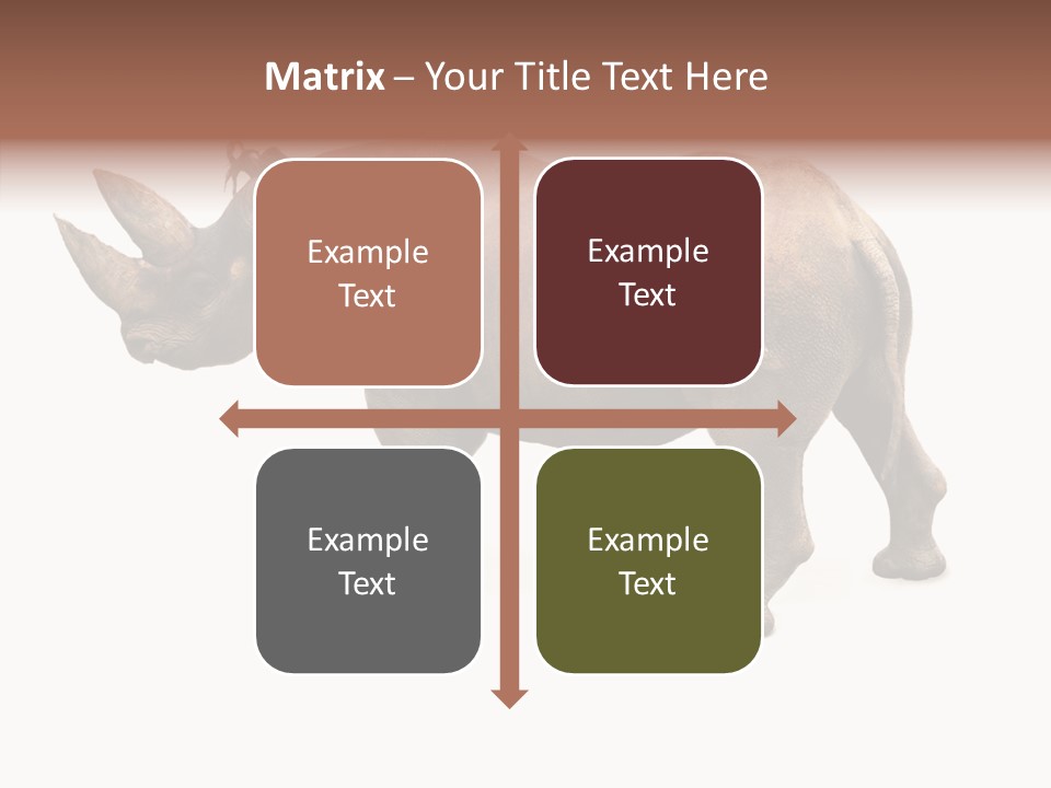 Wild Mammal Diceros PowerPoint Template