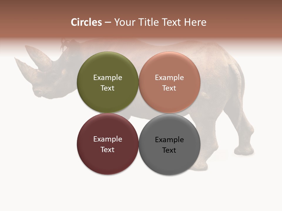 Wild Mammal Diceros PowerPoint Template