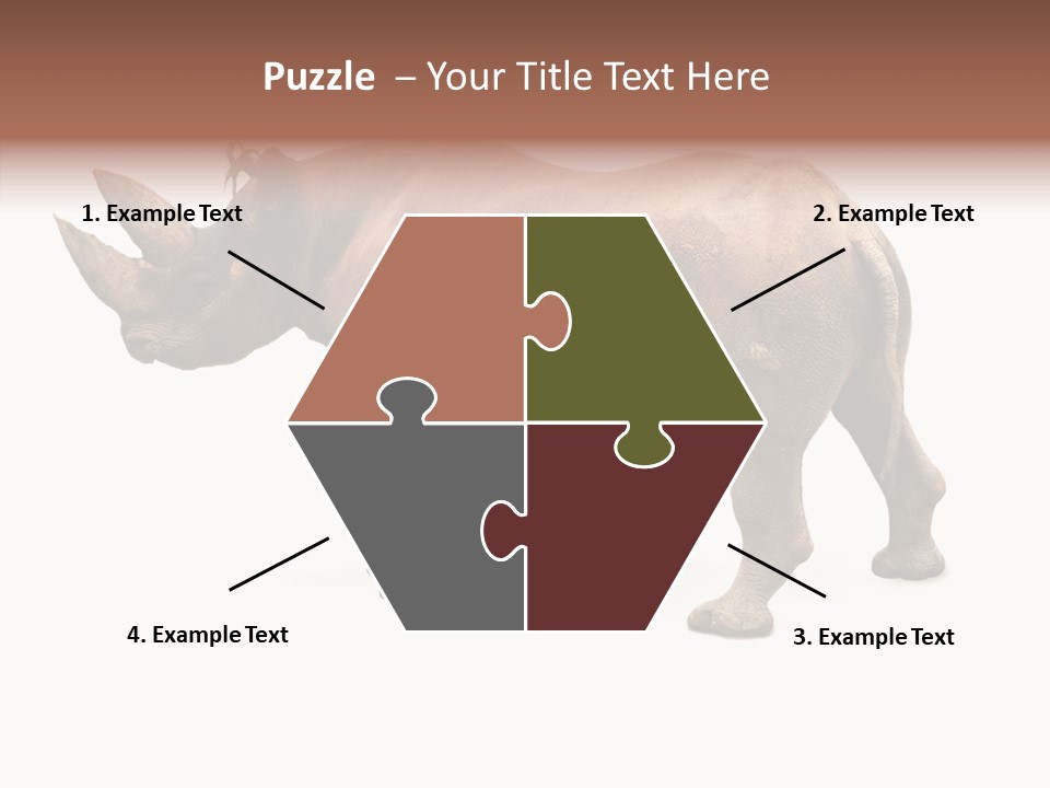 Wild Mammal Diceros PowerPoint Template