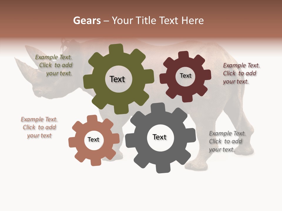 Wild Mammal Diceros PowerPoint Template