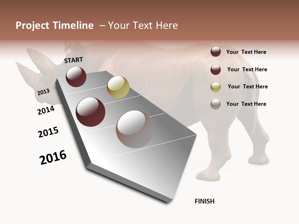 Wild Mammal Diceros PowerPoint Template