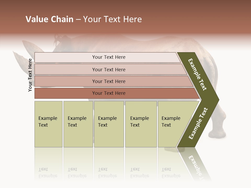 Wild Mammal Diceros PowerPoint Template