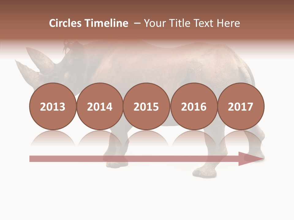 Wild Mammal Diceros PowerPoint Template