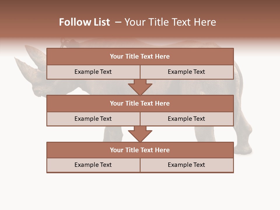Wild Mammal Diceros PowerPoint Template