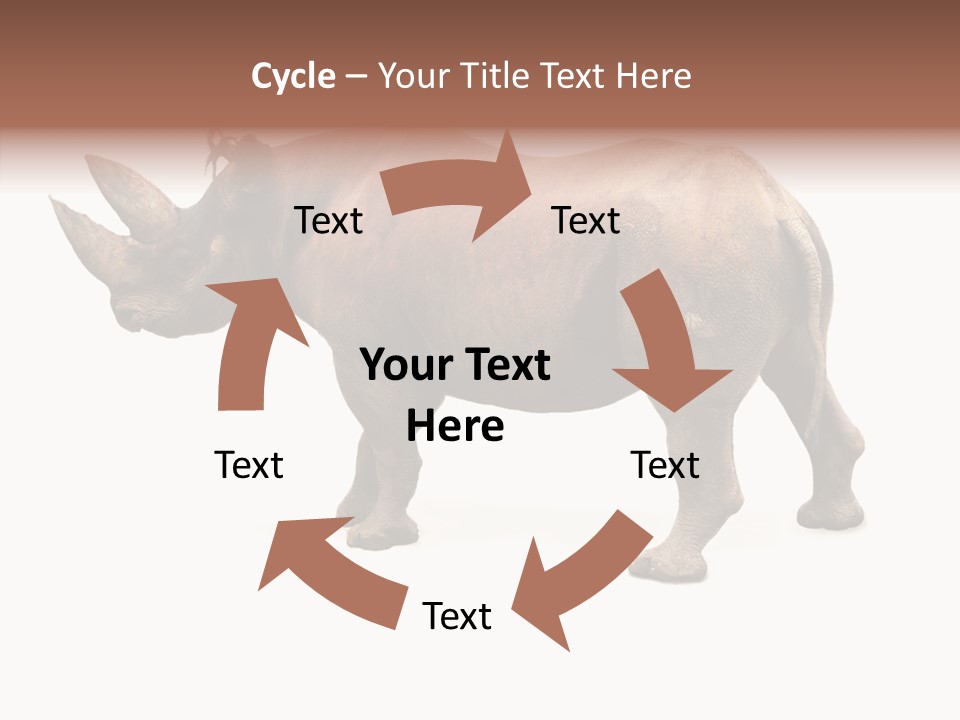 Wild Mammal Diceros PowerPoint Template