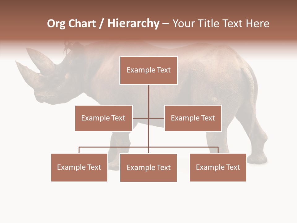 Wild Mammal Diceros PowerPoint Template