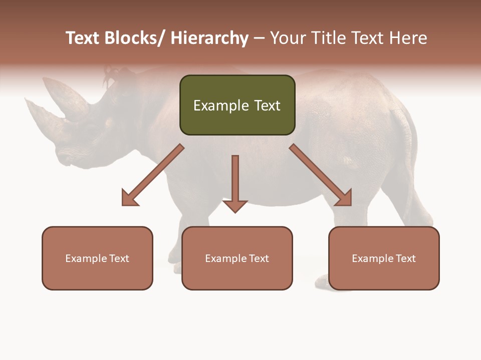 Wild Mammal Diceros PowerPoint Template