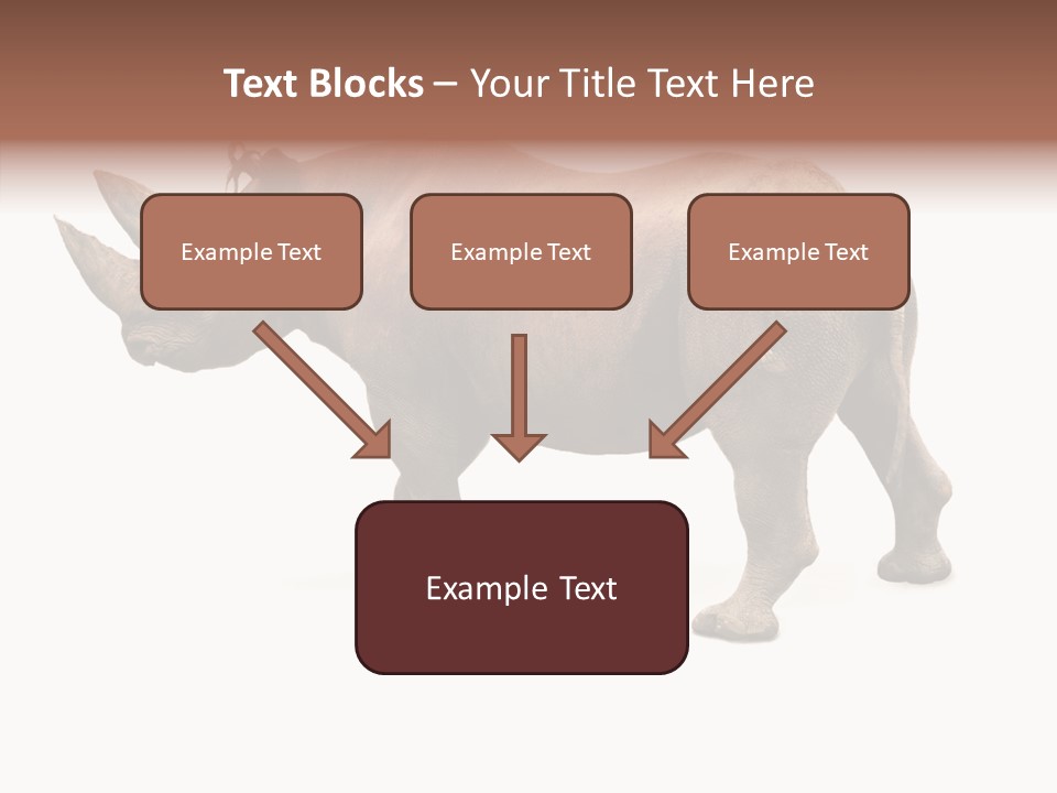 Wild Mammal Diceros PowerPoint Template