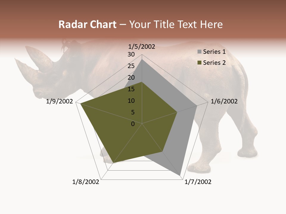 Wild Mammal Diceros PowerPoint Template