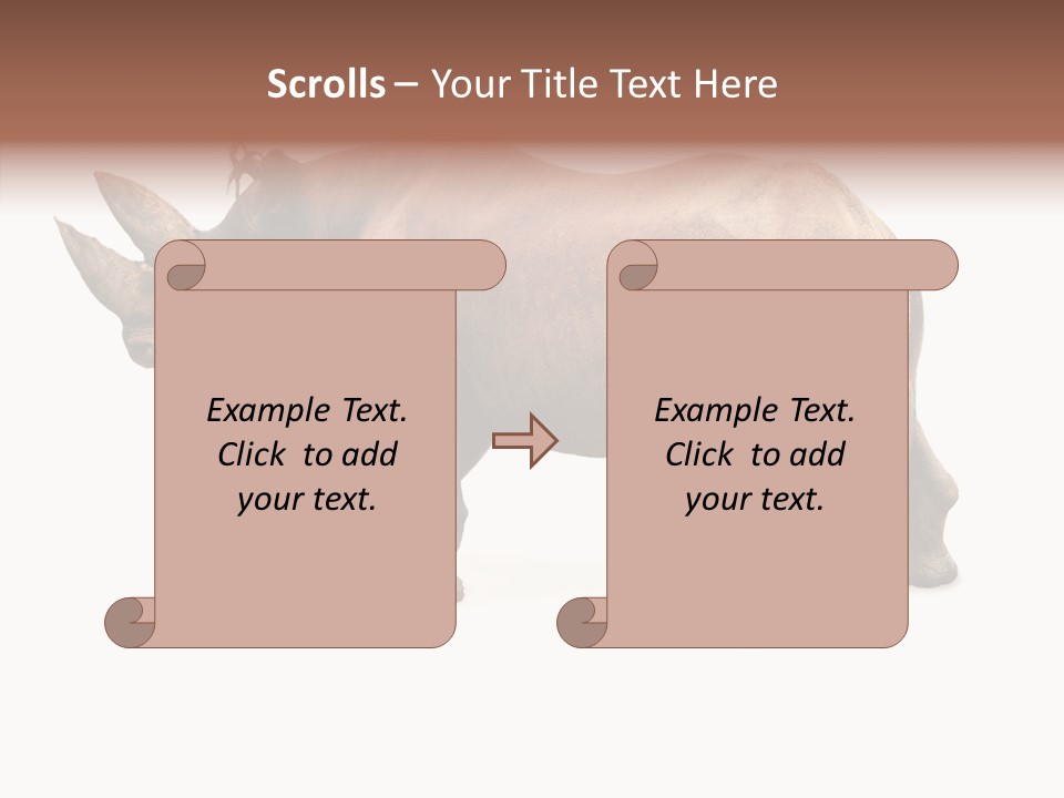 Wild Mammal Diceros PowerPoint Template