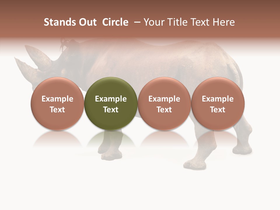Wild Mammal Diceros PowerPoint Template