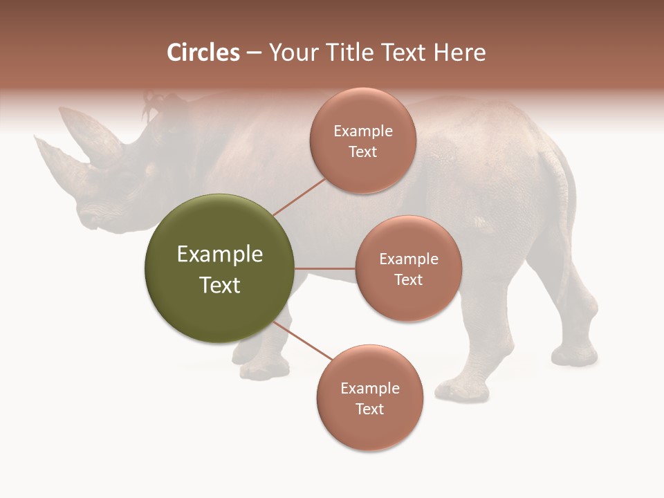 Wild Mammal Diceros PowerPoint Template