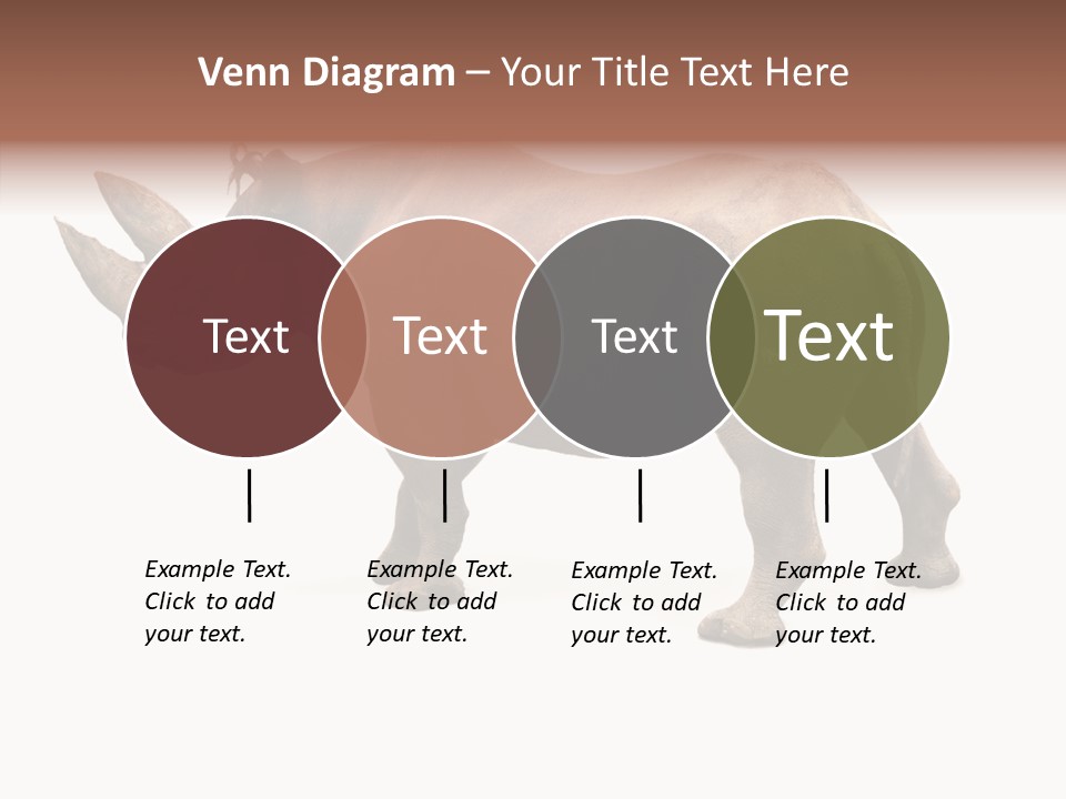 Wild Mammal Diceros PowerPoint Template