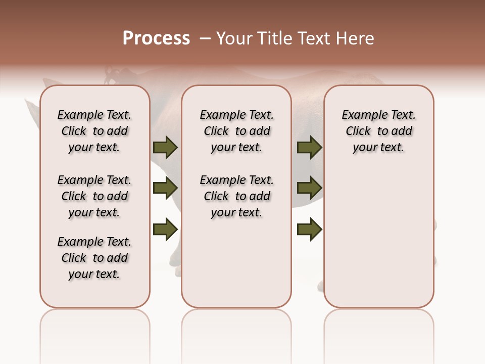 Wild Mammal Diceros PowerPoint Template