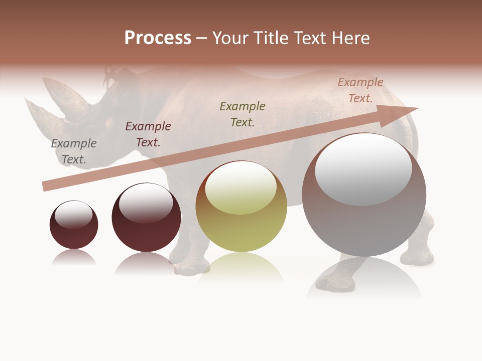 Wild Mammal Diceros PowerPoint Template