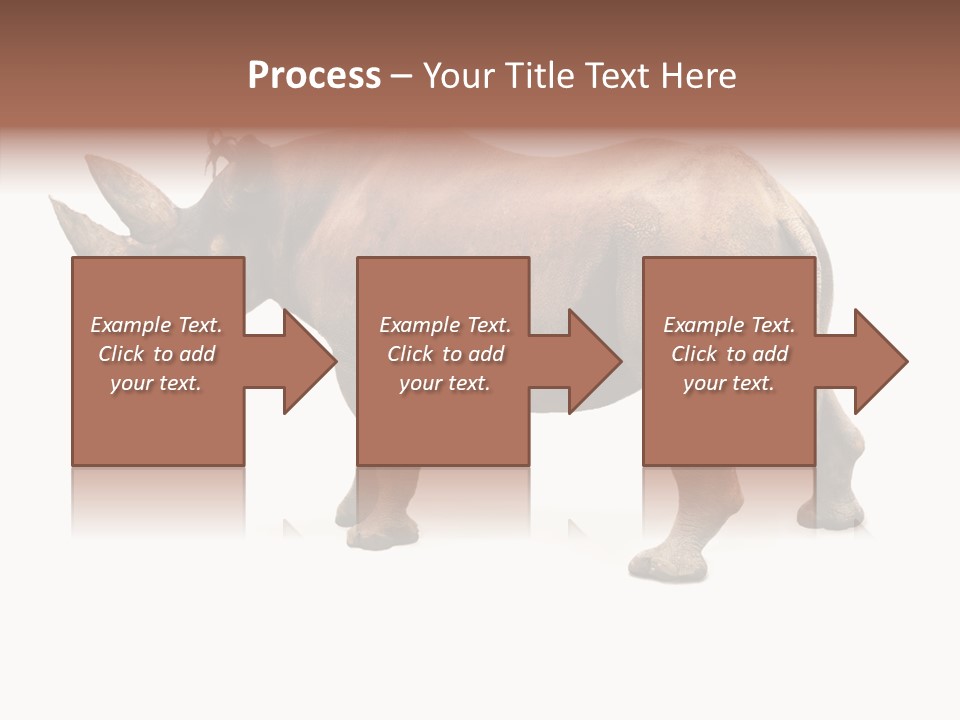 Wild Mammal Diceros PowerPoint Template