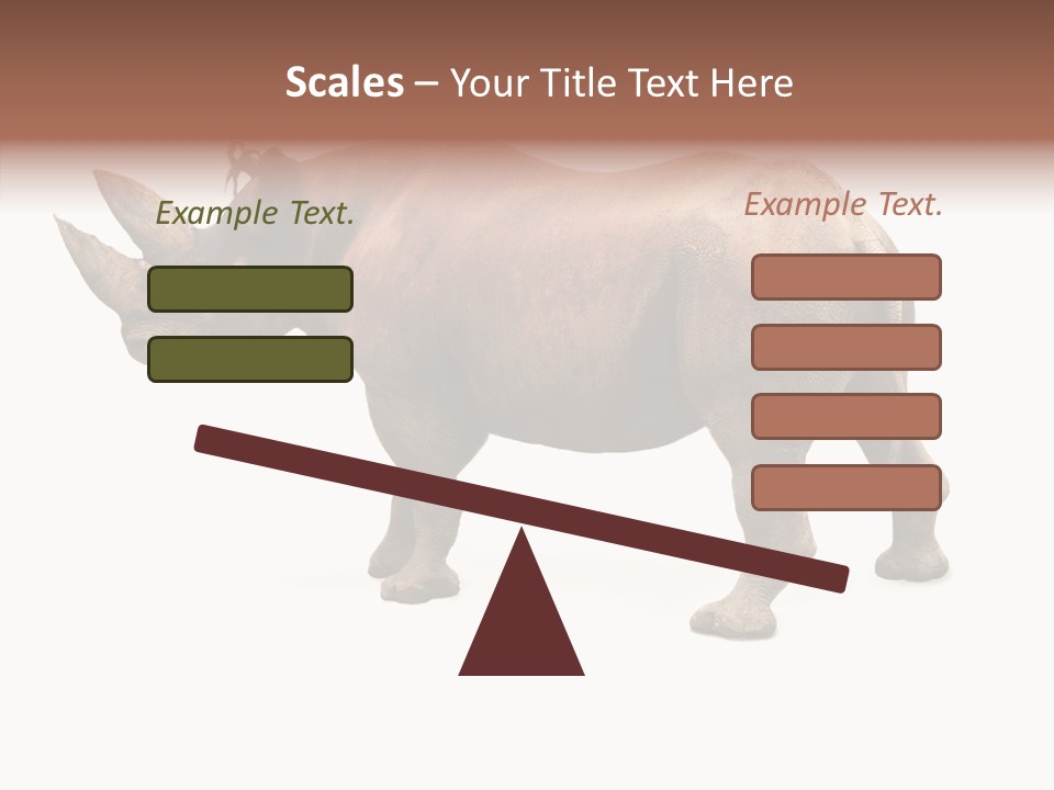 Wild Mammal Diceros PowerPoint Template