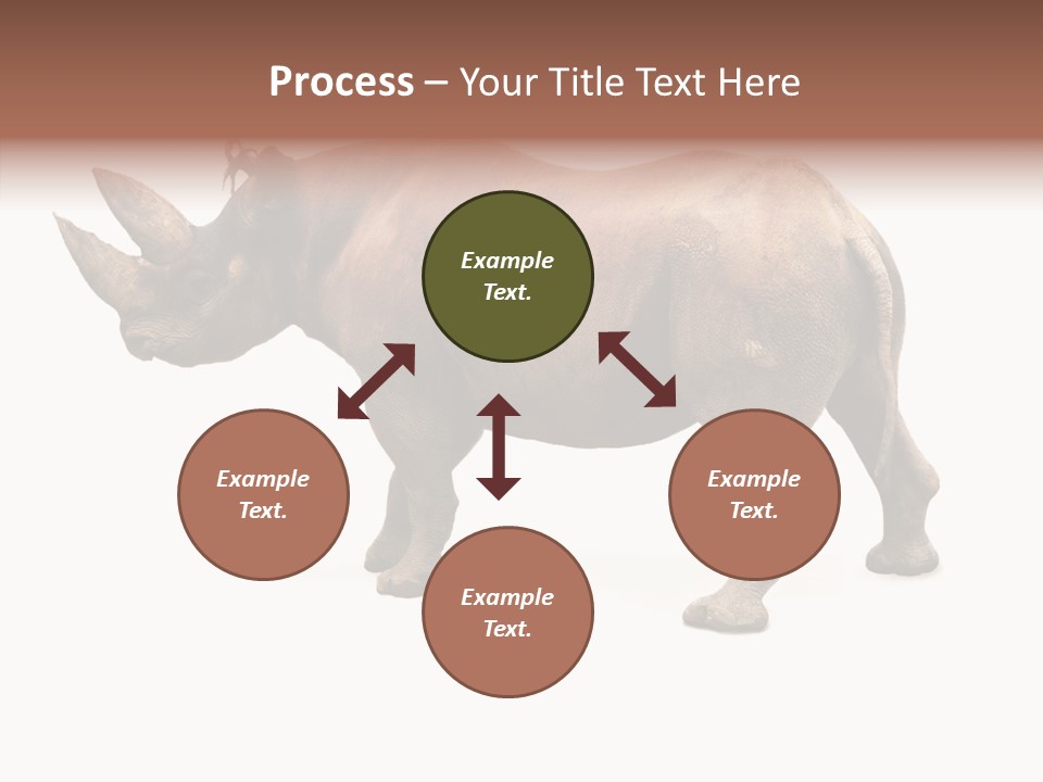 Wild Mammal Diceros PowerPoint Template