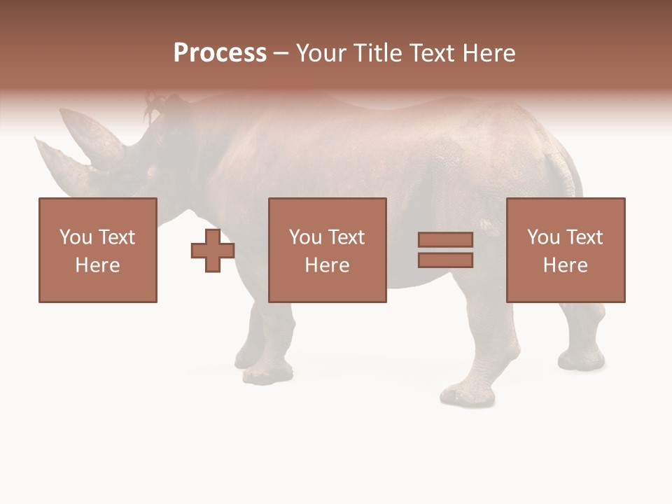 Wild Mammal Diceros PowerPoint Template