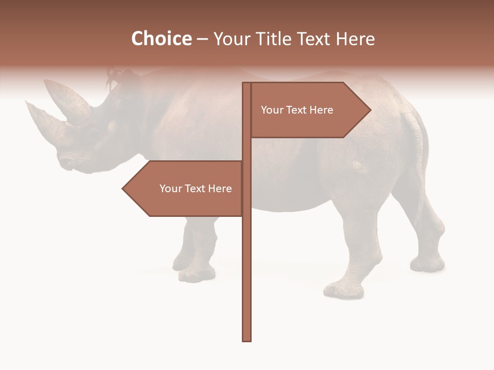 Wild Mammal Diceros PowerPoint Template