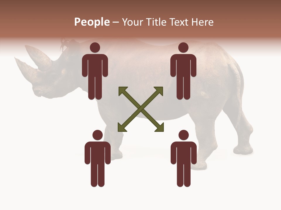 Wild Mammal Diceros PowerPoint Template