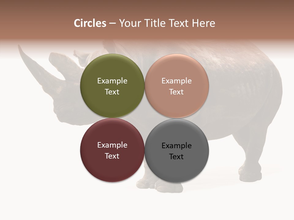 Background Safari Wild PowerPoint Template
